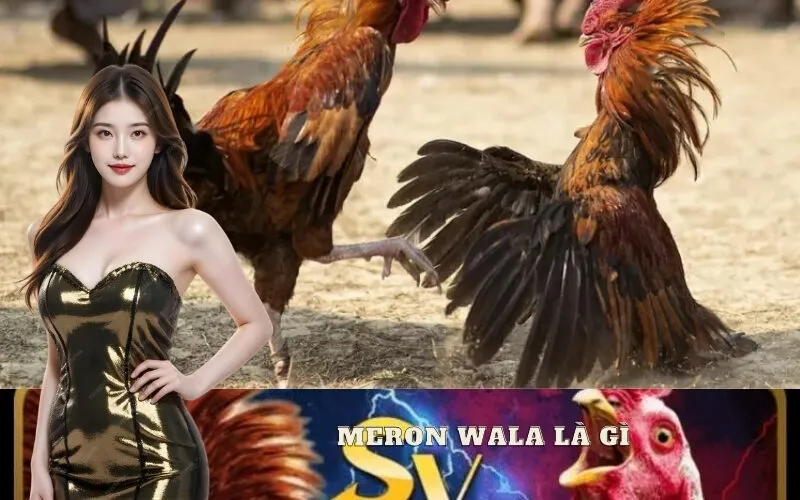 Meron Wala Là Gì